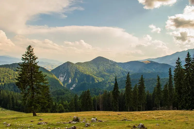 Landschap met bergen en natuur